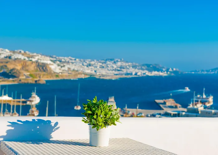 호텔 파라디시온 4*