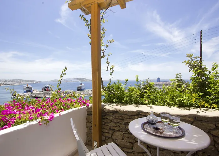 باراديسيون