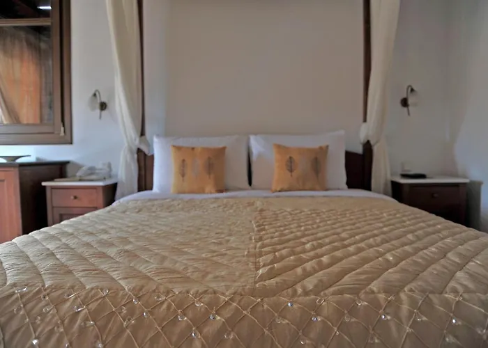 باراديسيون فندق Mykonos Town